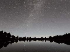 별들에게 물어봐