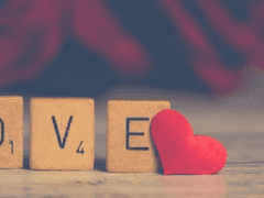 [ 이찬늘 :: 로자리 / 여 / 19 / Blue mallow ]