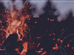 들불 속의 연약