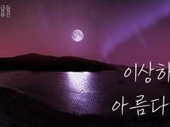 [현제유진] 이상하고 아름다운