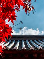 [내스급 - 현제유진] 番凩