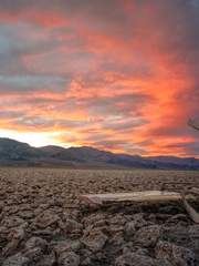 쿠라사와_지구가 죽는 날