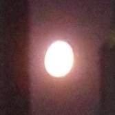 [루이타마] 달과 눈을 맞추며