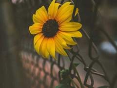 [윤겸] 친구의 친구를 사랑했네 2