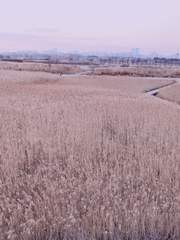 바람이 불어오는 곳