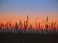 [최한케일] 방과후 하교길