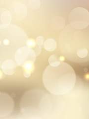 The Day We Meet Again