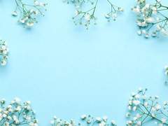 산래해준 | A Bluebird alighted upon Your Shoulder