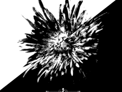 ＜Chrysanthemum : 케일즈 탐정 사무소＞