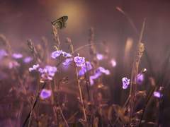 삼인 일상 (귀멸학원AU)