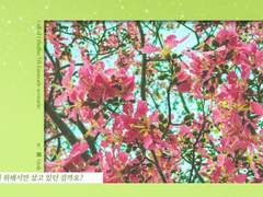 [작성중] 명멸의 봄 : 작심삼일