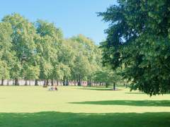 나이팅게일이 우러따 3