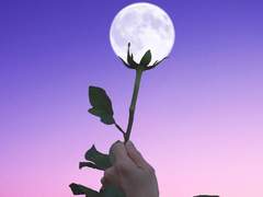 [유비조조/윱쬬] OFF the RECORD 01