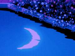 당신을 상처입히는 것들 모두 나는 결코