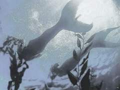 날카로웠던 것은 어디에도 없고