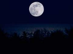 라일라_ In the Middle of the Night