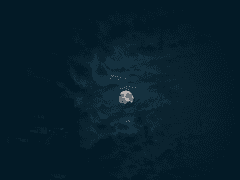 Loyal man's logic 01