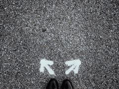 당신의 선택을 존중합니다