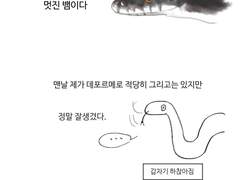 잘생긴 우리집 뱀