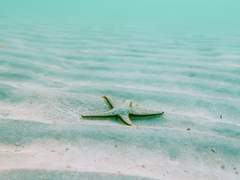 [츠나총수] 다메의 안에는 마피아 보스가 산다 - 프롤로그