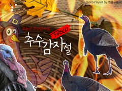 FIASCO 칠면조 플레이세트