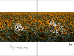 [미사와] 해바라기도 가끔 목이 아프죠