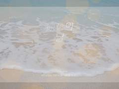 [현제태원/성송] 掠奪의 날