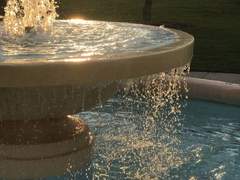 [후루시호] 애완인