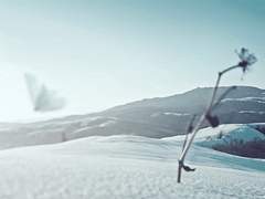 [구애/동매애신]꿈에