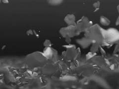 좁혀지지 않는 거리