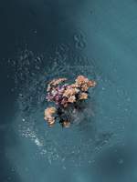 잔잔한 바람이 거센 파도가 되어