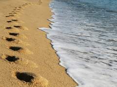 남욱영진 - 약속