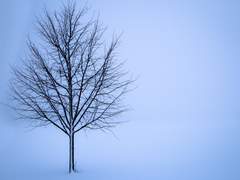 [안화여휘] 거울의 상