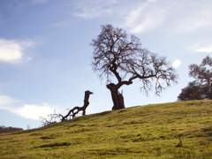 [스팁버키] A Broken Man