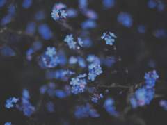 Break My Heart Again