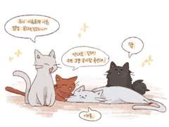 190801~백망되/적왕사 백업