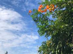 성원에 힘입어 ...