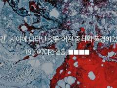 001 주인 잃은 개