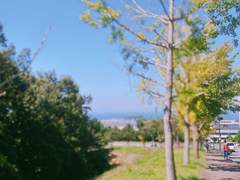 [석순] 반짝반짝 빛나는 - 下