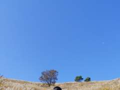 민둥산 축제를 가다.