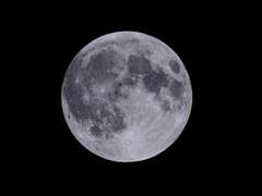 Silver bullet_프롤로그