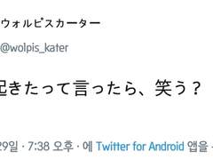 2019.10.29 월피스 카터 트윗 번역