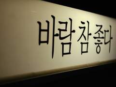 노을X백기X은행나무