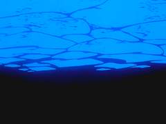 [모브사이코 / 에쿠레이] 퍼펙트 월드