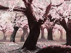 [절안백진] 종천지모(終天之慕)