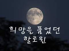 희망을 품었던 할로윈