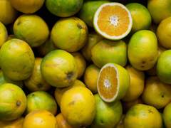 오도나루) 설익은 제철 과일