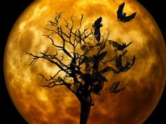 네가 없대도 나는 변하지 않는다.