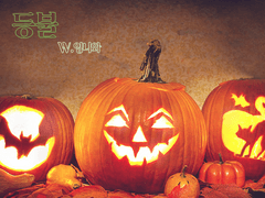 [세르시온]등불