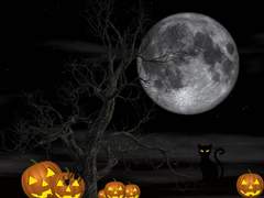 [백첸] Happy Halloween...?